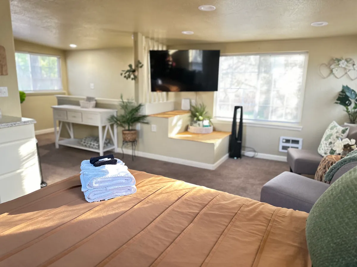A comfortable living space with a green couch, a stack of fresh towels, a television, and decorative plants. The arrangement suggests a cozy spot for relaxing after city adventures, with a welcoming and restful ambiance.